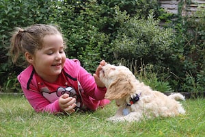 Puppy Training
